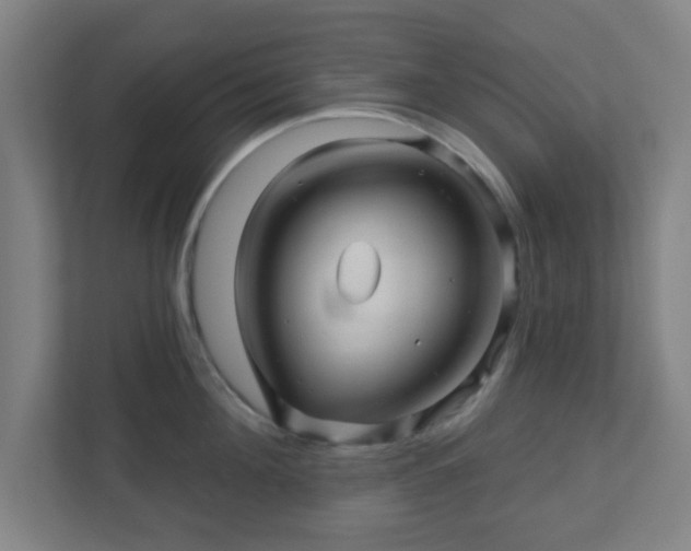 X0000110880908200906251246