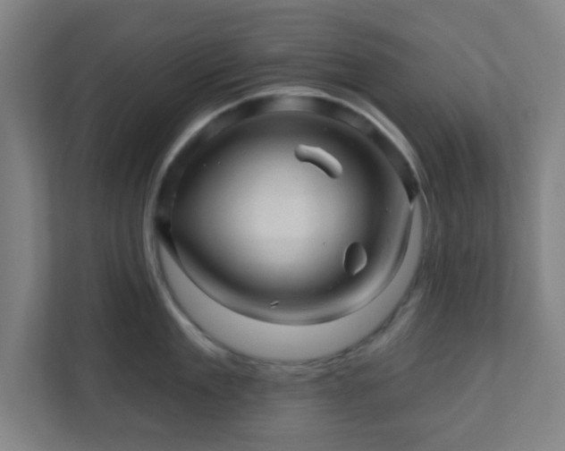 X0000110880909200906251246