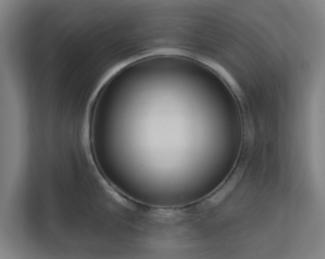 X0000110880910200906251246