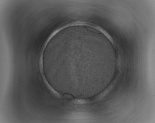 X0000110880911200906251246