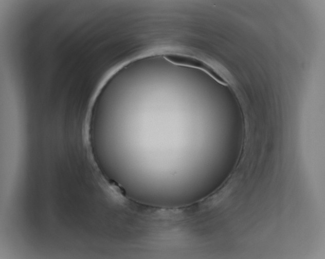 X0000110880912200906251246