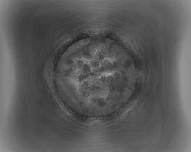 X0000110880913200906251245