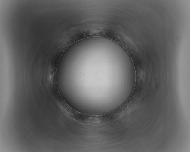 X0000110880914200906251245