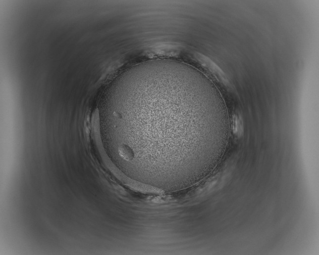 X0000110880915200906251245