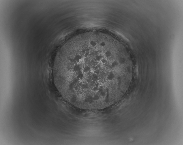 X0000110880917200906251245