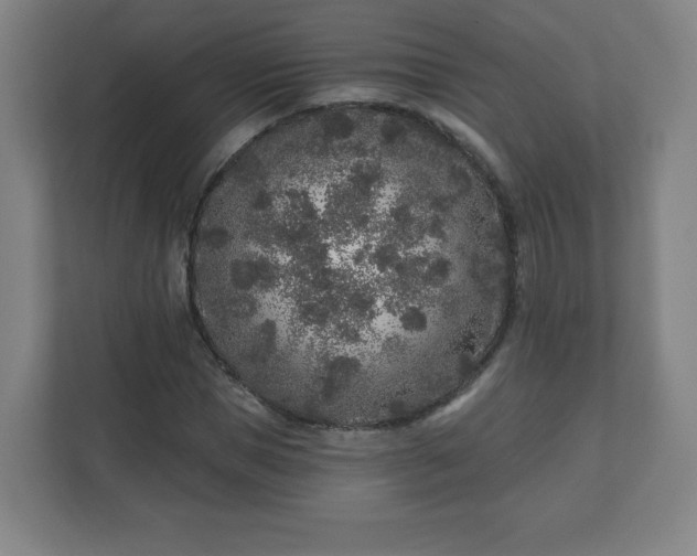 X0000110880921200906251245
