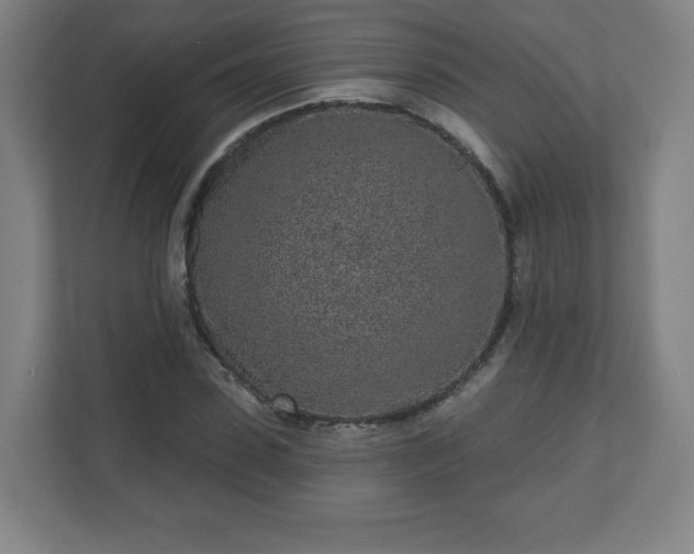 X0000110880923200906251246