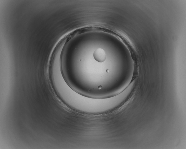 X0000110880924200906251246