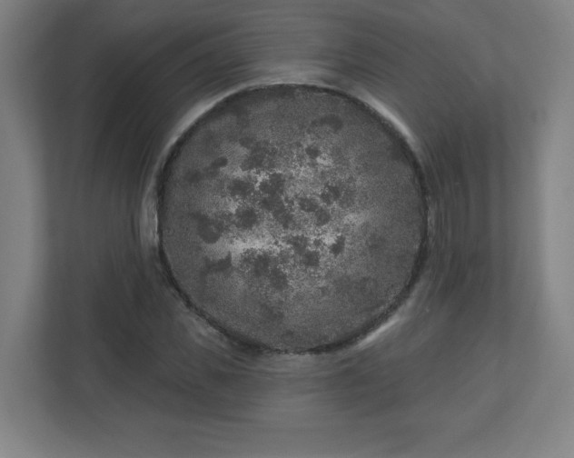 X0000110880925200906251246