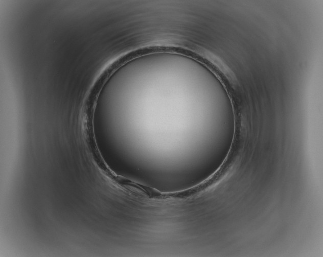 X0000110880926200906251246