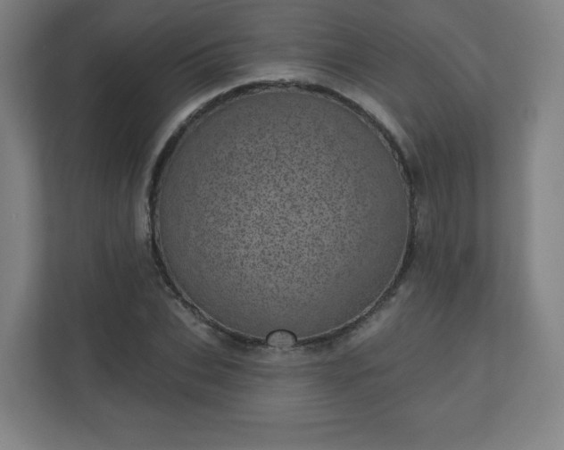 X0000110880927200906251246