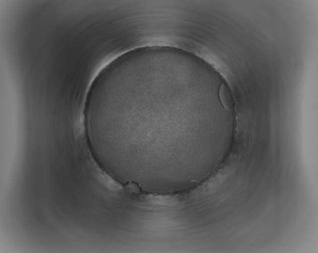 X0000110880928200906251246