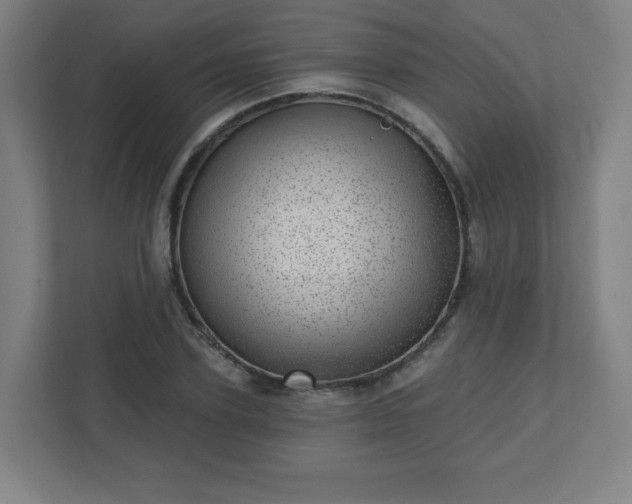 X0000110880931200906251246