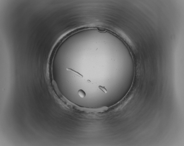 X0000110880932200906251246
