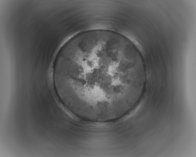 X0000110880933200906251246