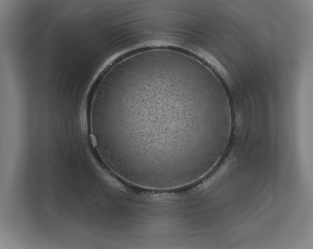X0000110880934200906251246