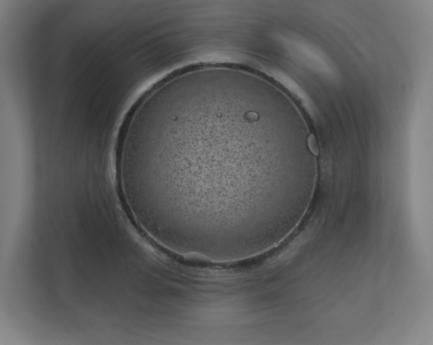 X0000110880935200906251246