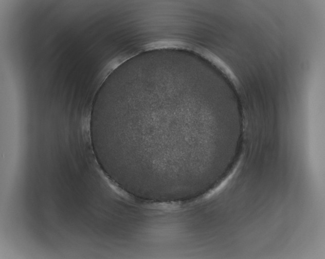 X0000110880937200906251246