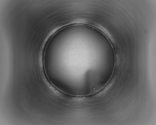 X0000110880939200906251246