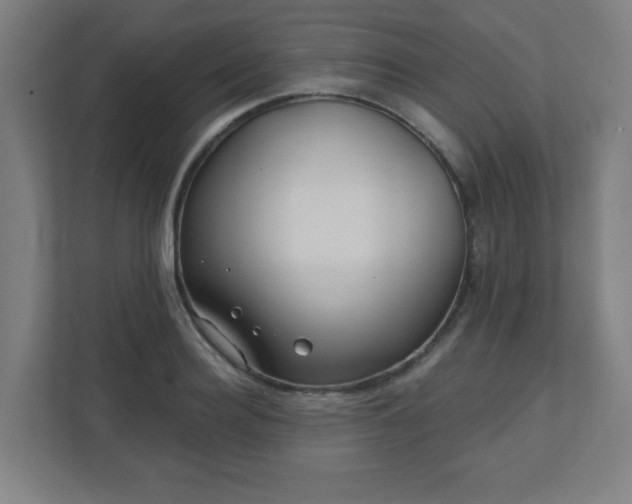 X0000110880940200906251246