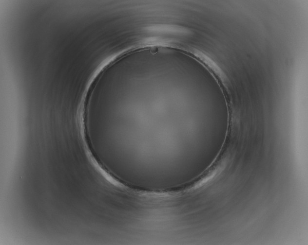X0000110880941200906251246