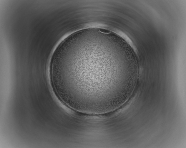 X0000110880947200906251246