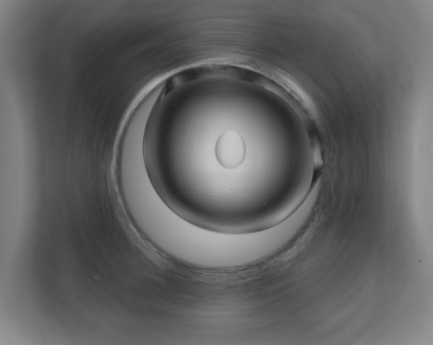X0000110880948200906251246