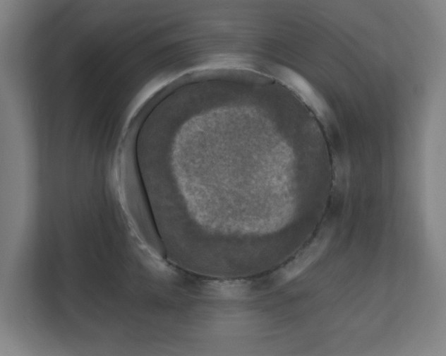 X0000110880952200906251246