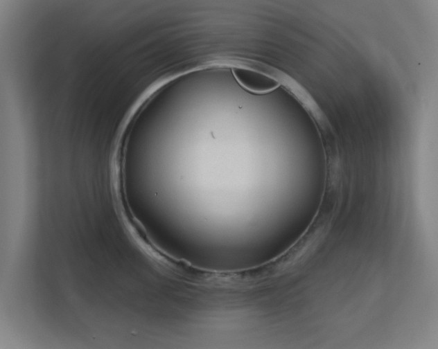 X0000110880955200906251246