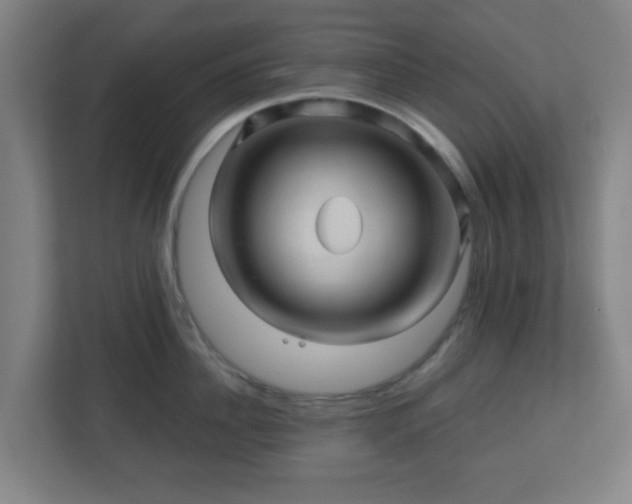 X0000110880956200906251246
