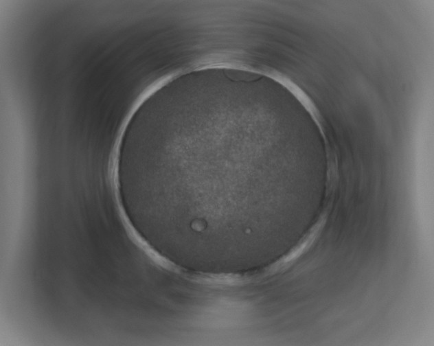 X0000110880957200906251246