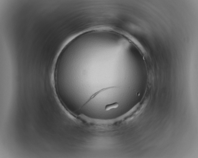 X0000110880959200906251246