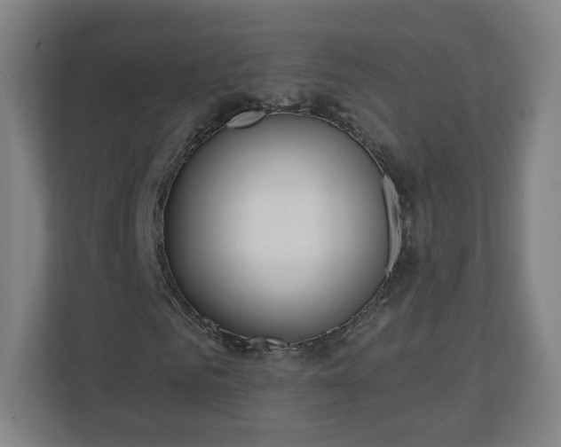 X0000110880961200906251245