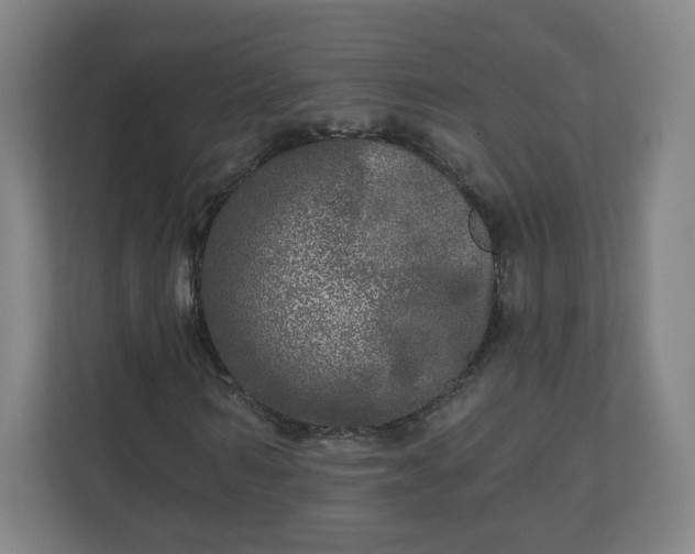 X0000110880962200906251245