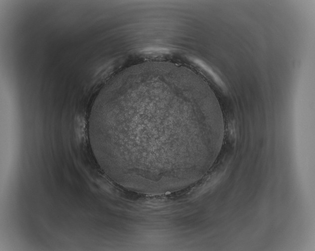 X0000110880964200906251245