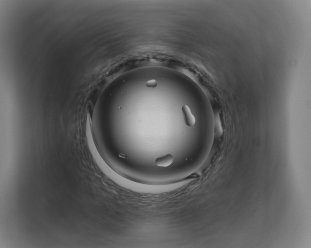 X0000110880965200906251245