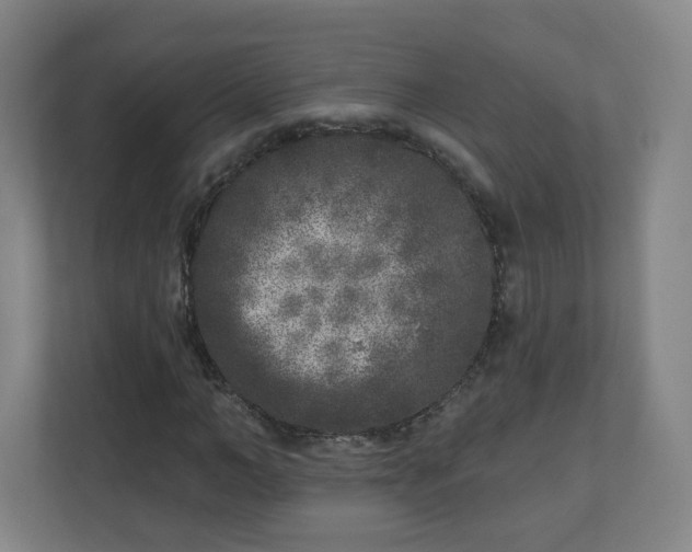 X0000110880966200906251245