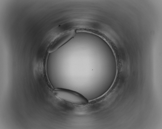 X0000110880969200906251245