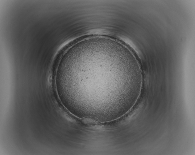 X0000110880971200906251245