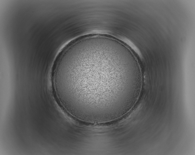 X0000110880972200906251245