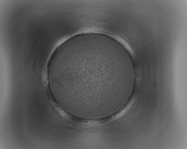 X0000110880974200906251245