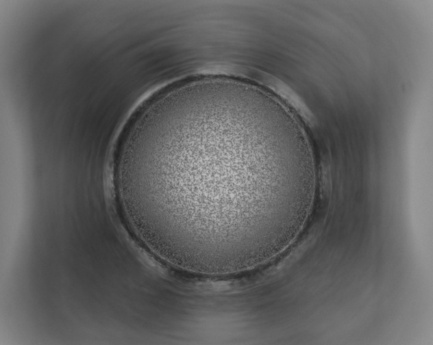 X0000110880976200906251245