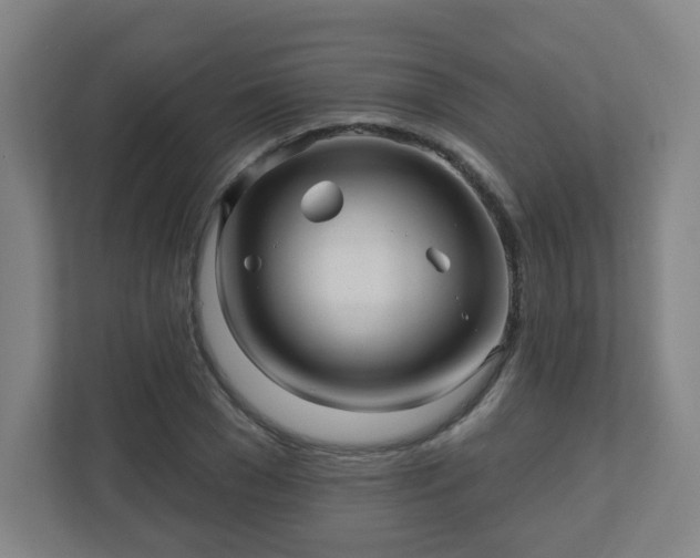 X0000110880977200906251245