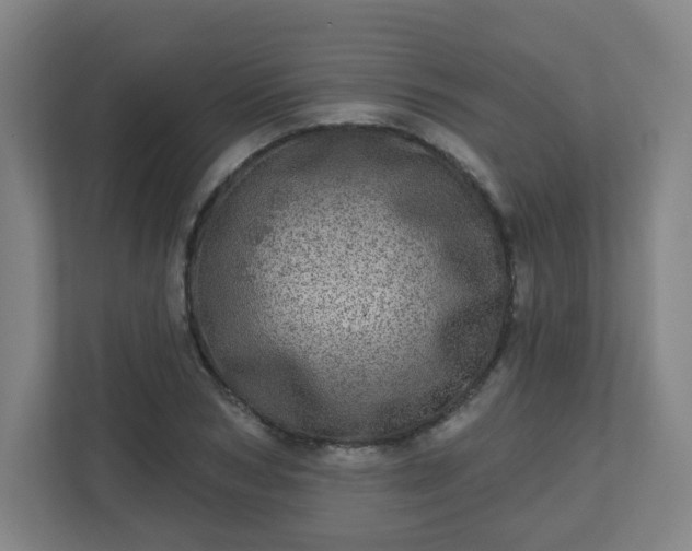 X0000110880978200906251245