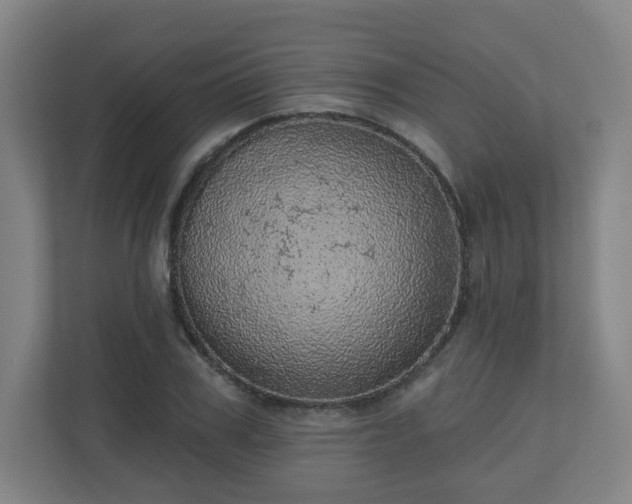 X0000110880979200906251245