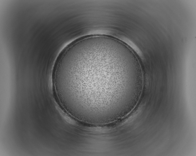 X0000110880980200906251245
