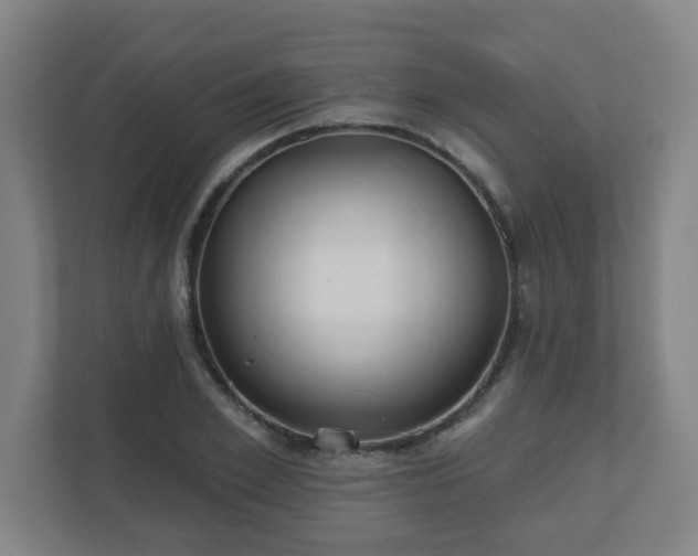 X0000110880981200906251245
