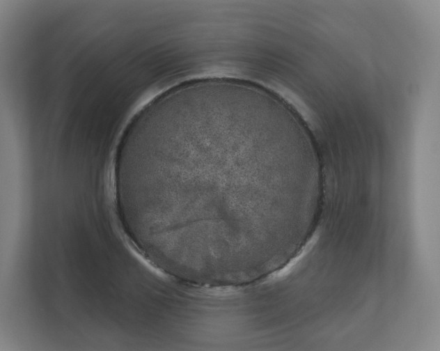 X0000110880982200906251245