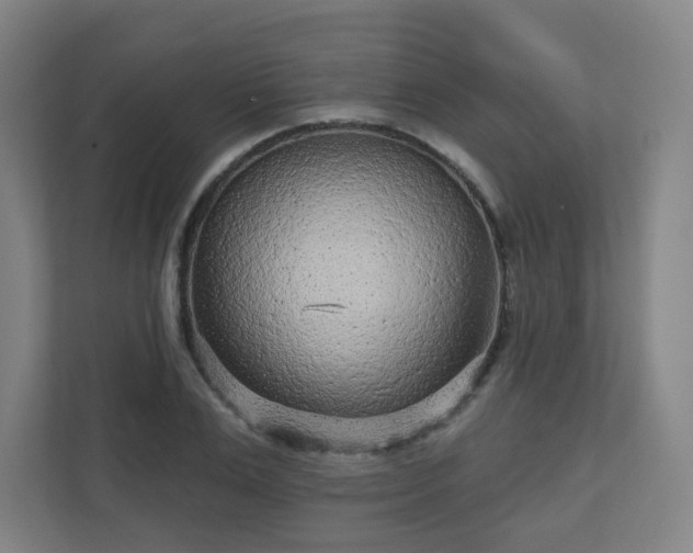 X0000110880983200906251245