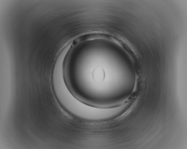 X0000110880985200906251245